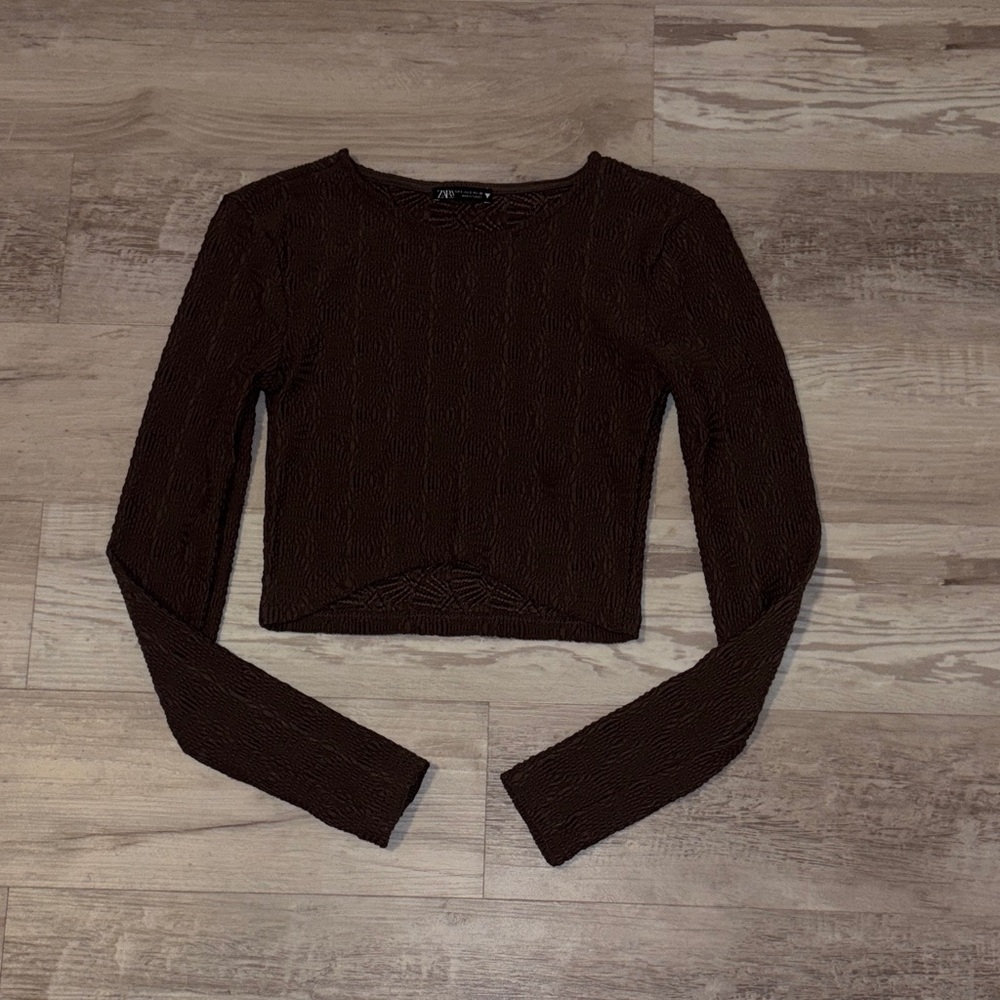 Zara Chocolate Brown Long Sleeve Crop Top